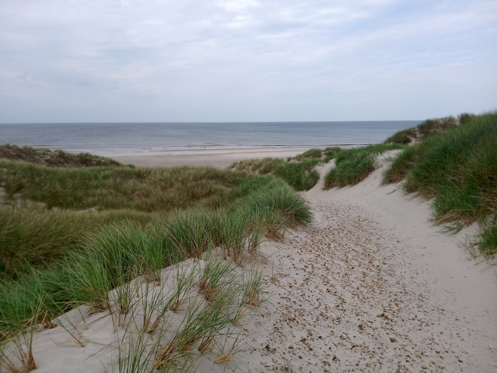 dune au danemark