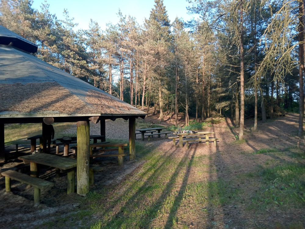 shelter au danemark