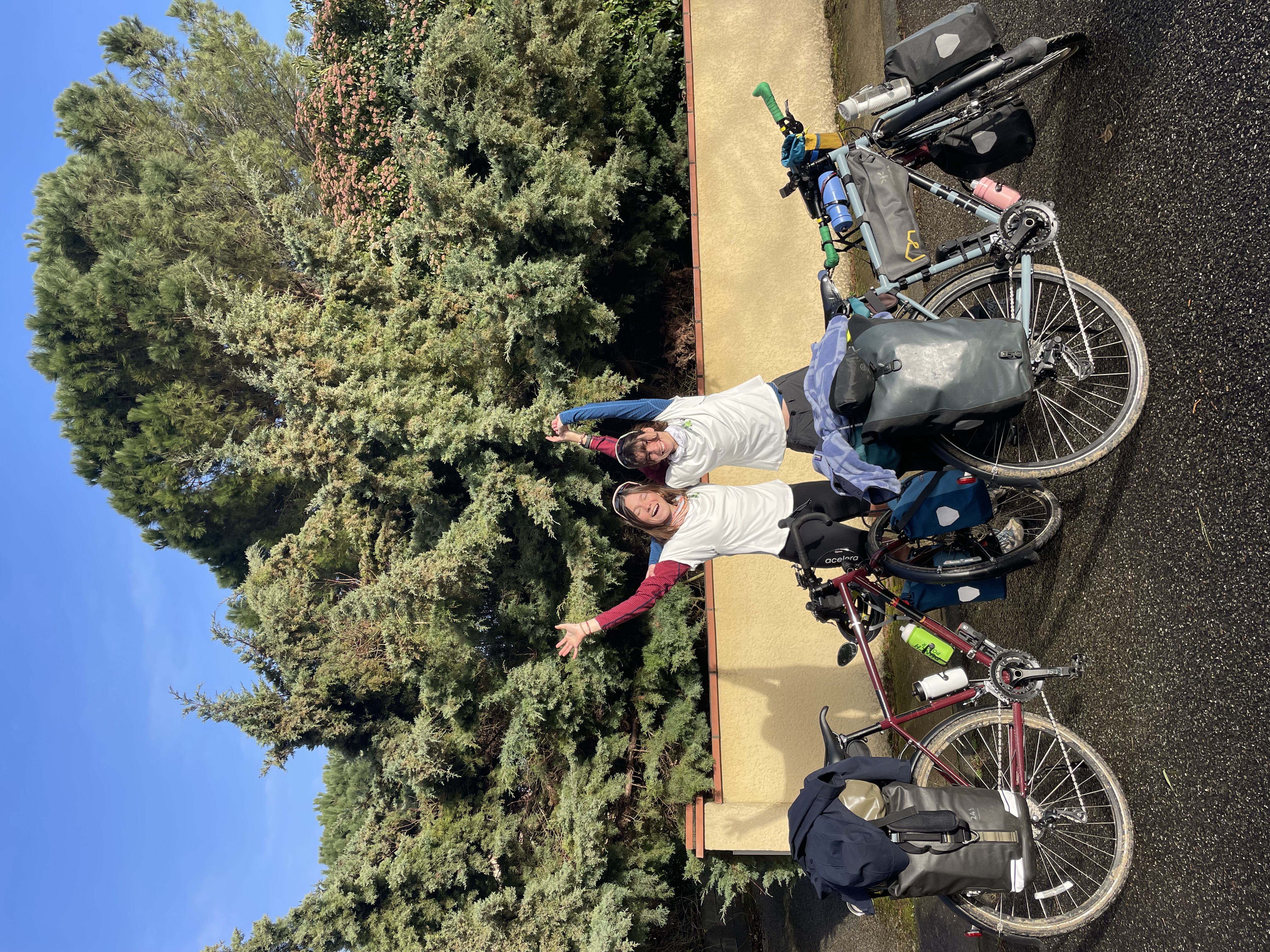 Les rainettes à bicyclette